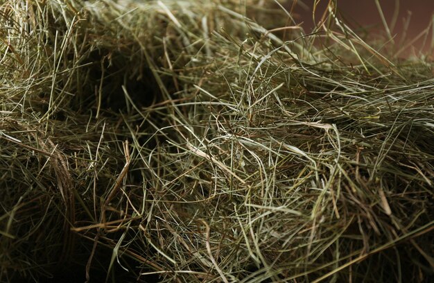 Foin de Prairie