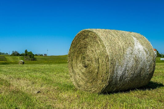 Foin de Prairie